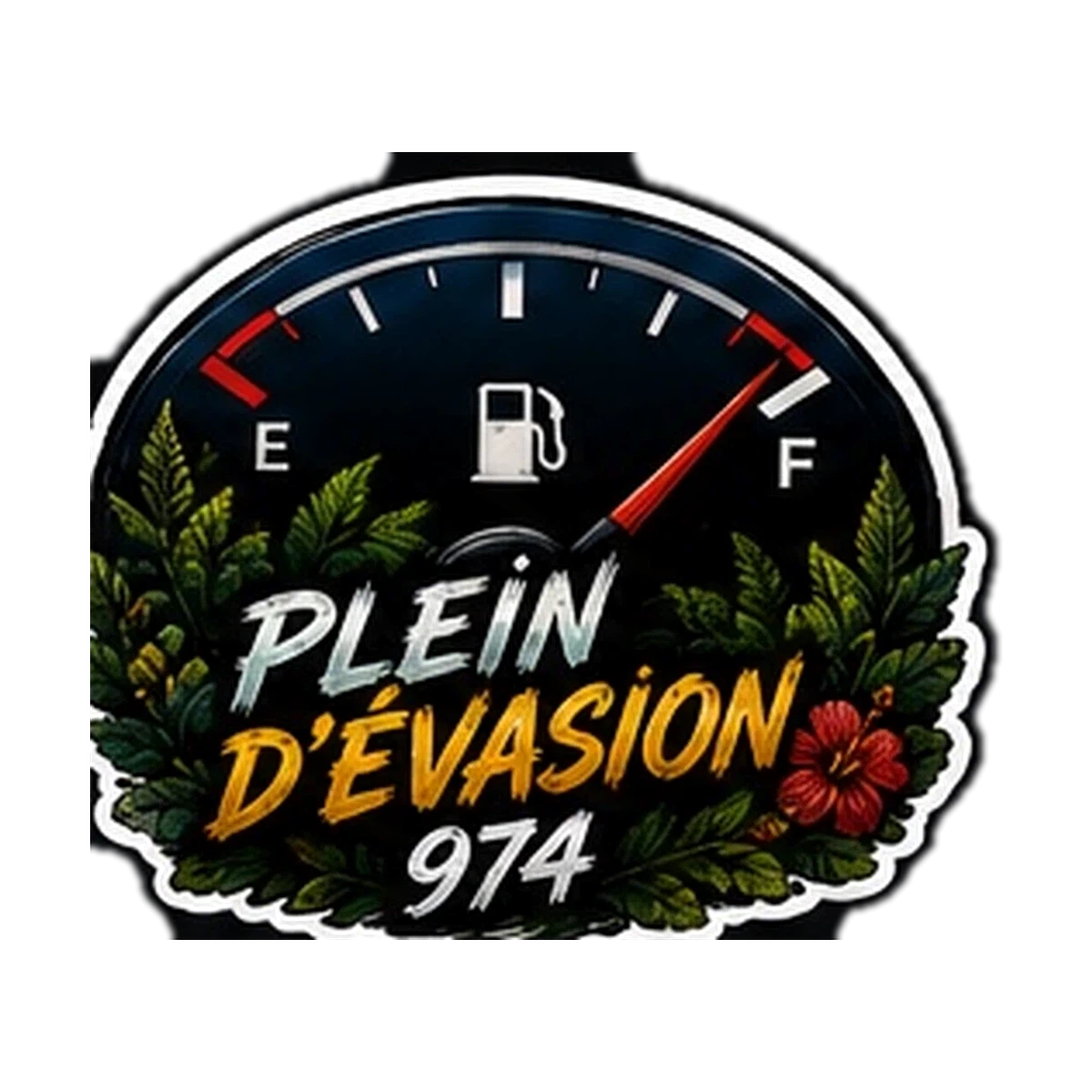 Sticker Auto / Moto 974 — Plein Devasion